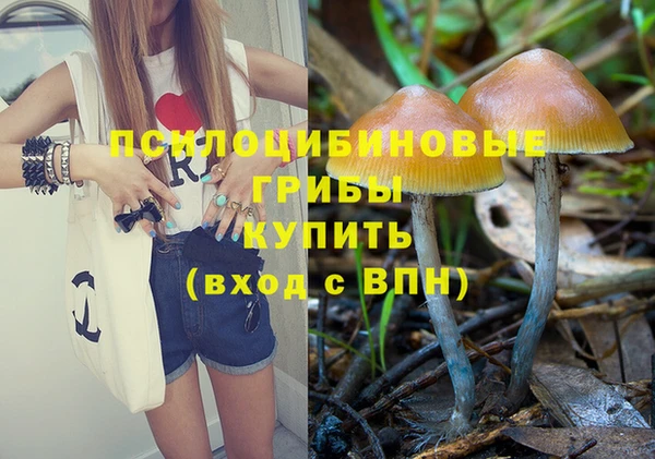 дмт Вязьма