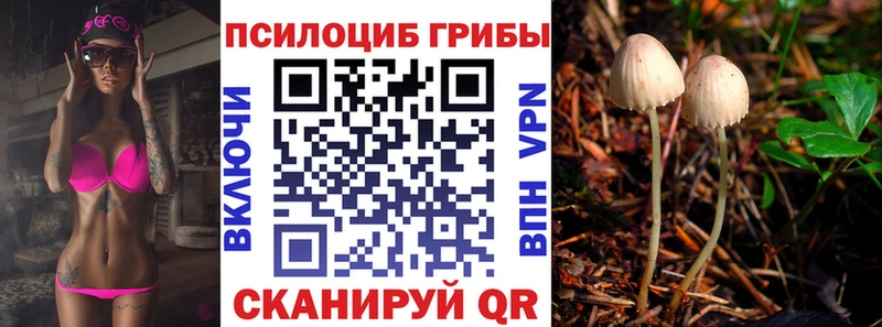 Купить закладки  Кольчугино  Псилоцибиновые грибы GOLDEN TEACHER 